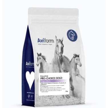 horse digestion supplement