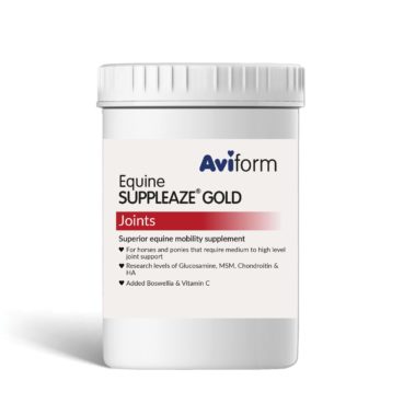 Suppleaze Gold Horse Joint Supplement Pot